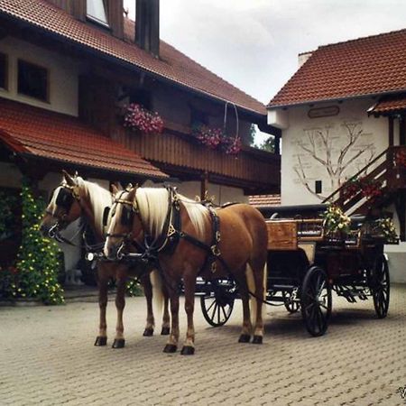 Appartementhaus "Haflinger Hof" Bad Füssing Exteriér fotografie