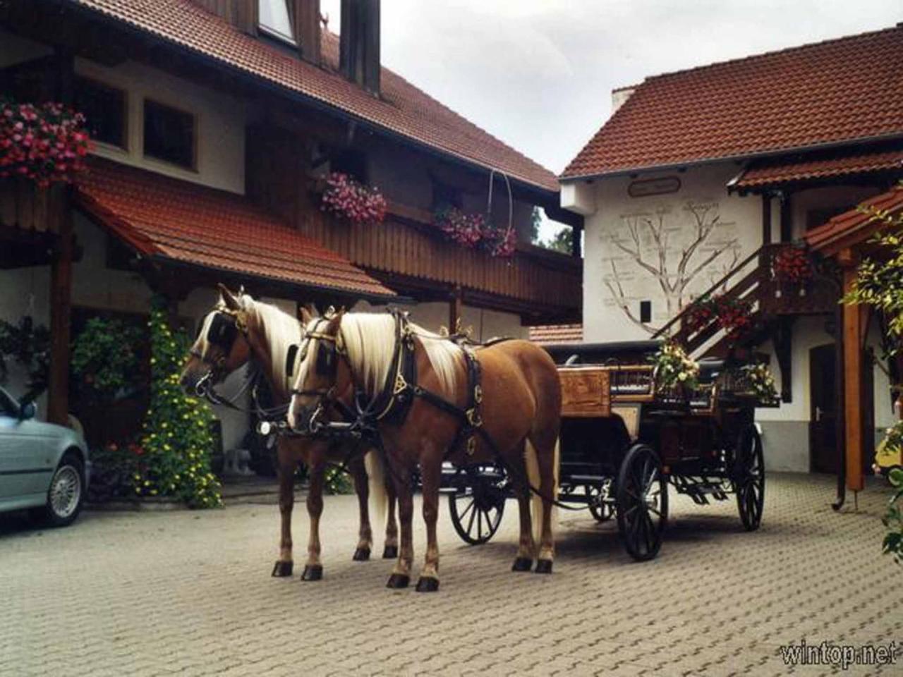 Appartementhaus "Haflinger Hof" Bad Füssing Exteriér fotografie